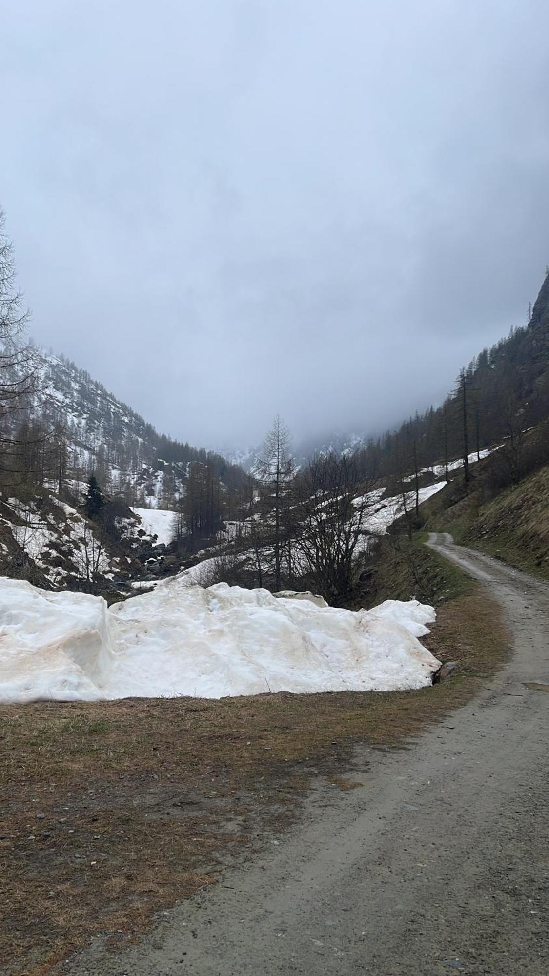 Laghi Di Como Appartamento Di Licinia E Mario Asso Eksteriør billede